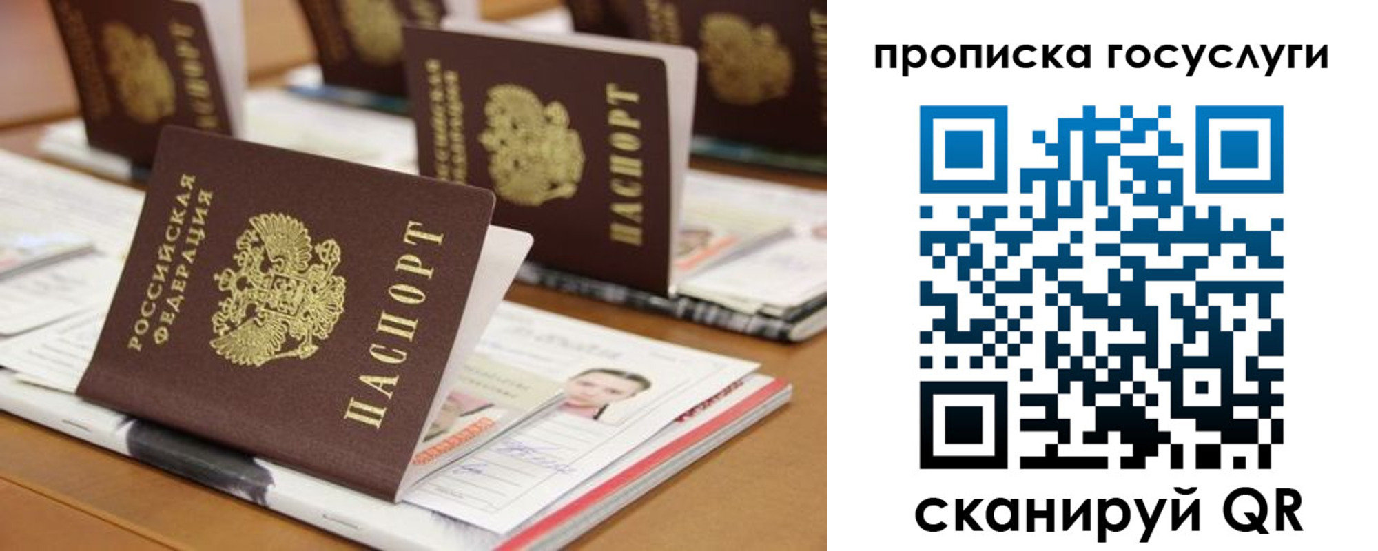 регистрация для дет. сада в Жукове